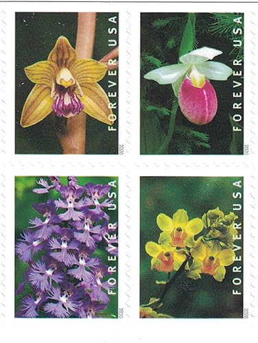 USPS Wild Orchids Forever Stamps - Folleto de 20 sellos (20 sellos)