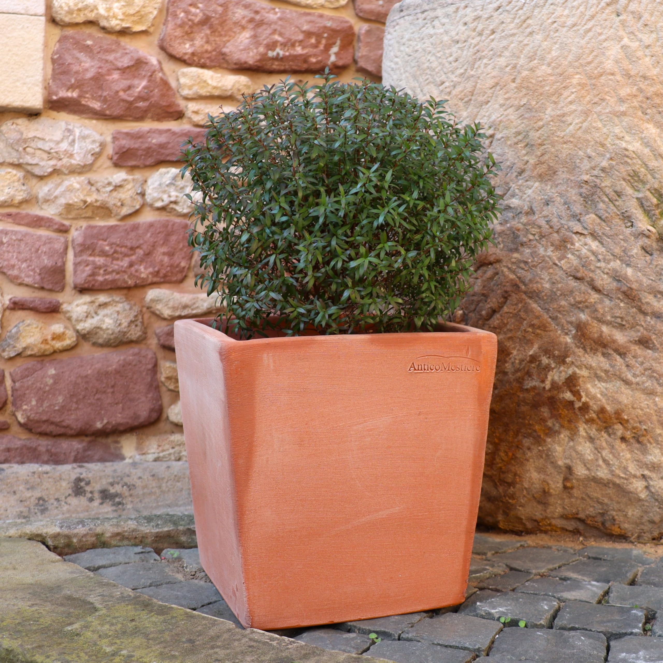 Palatina Werkstatt Pflanzkübel rechteckig und quadratisch 30 cm, 40 cm, 50 cm, 60 cm - Das perfekte Pflanzgefäß für hre Lieblingspflanzen (40x40x40cm)