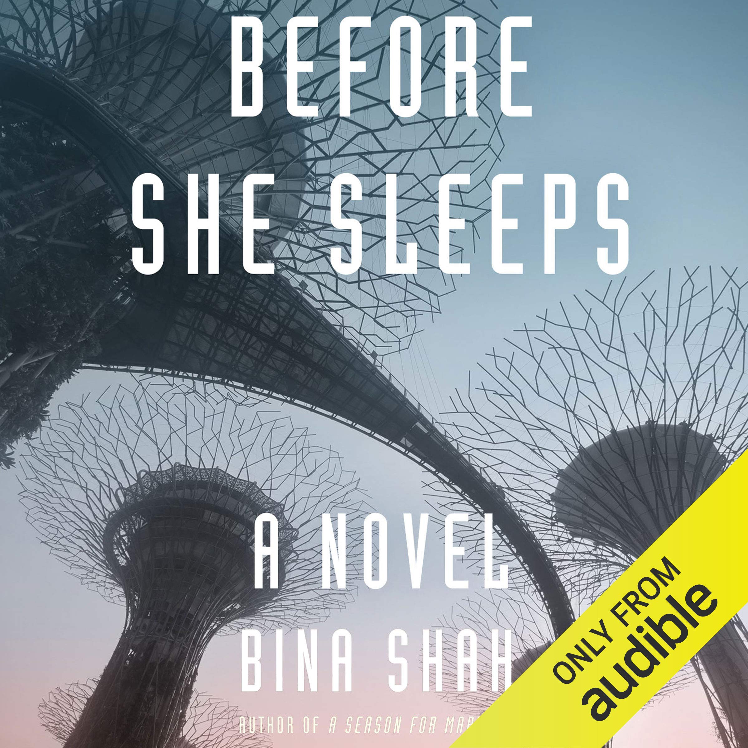 Cover art for Before She Sleeps