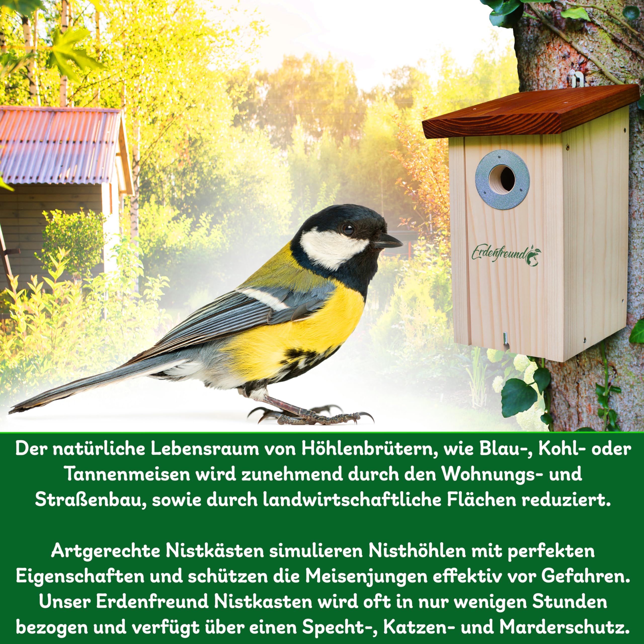 ERDENFREUND® Spatzen Nistkasten Marder-/Katzenschutz räubersicherer Brutkasten für Vögel pickfester Metall-Spechtschutz rostfrei 3er Spatzenhaus 34 mm (Kolonie Nistkasten Sperling 3 Nisträume