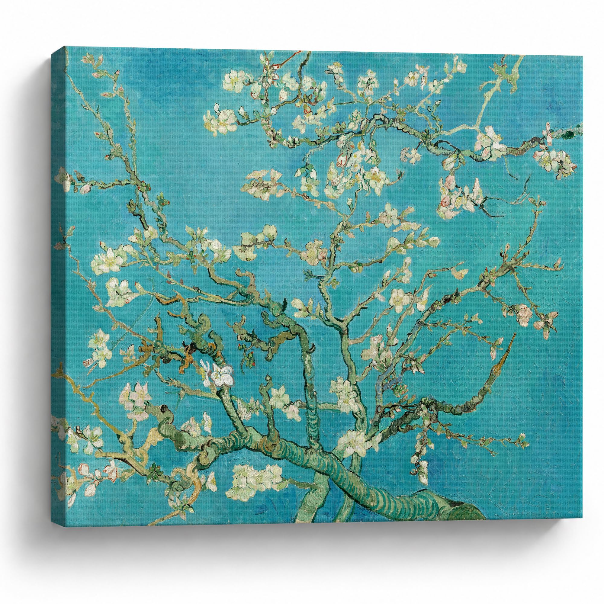 TYPTEK Van Gogh Canvas Wall Art, Almond Blossom Print, Ready to Hang Decor | Gallery wrapped canvas print with finished edges for living room bedroom office dorm apartment or gallery wall decor Almond Blossom 12"L x 16"W