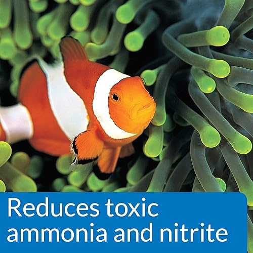 Miniatura 4 de API Bacterias nitrificantes de inicio rápido, para acuario de agua dulce y salada