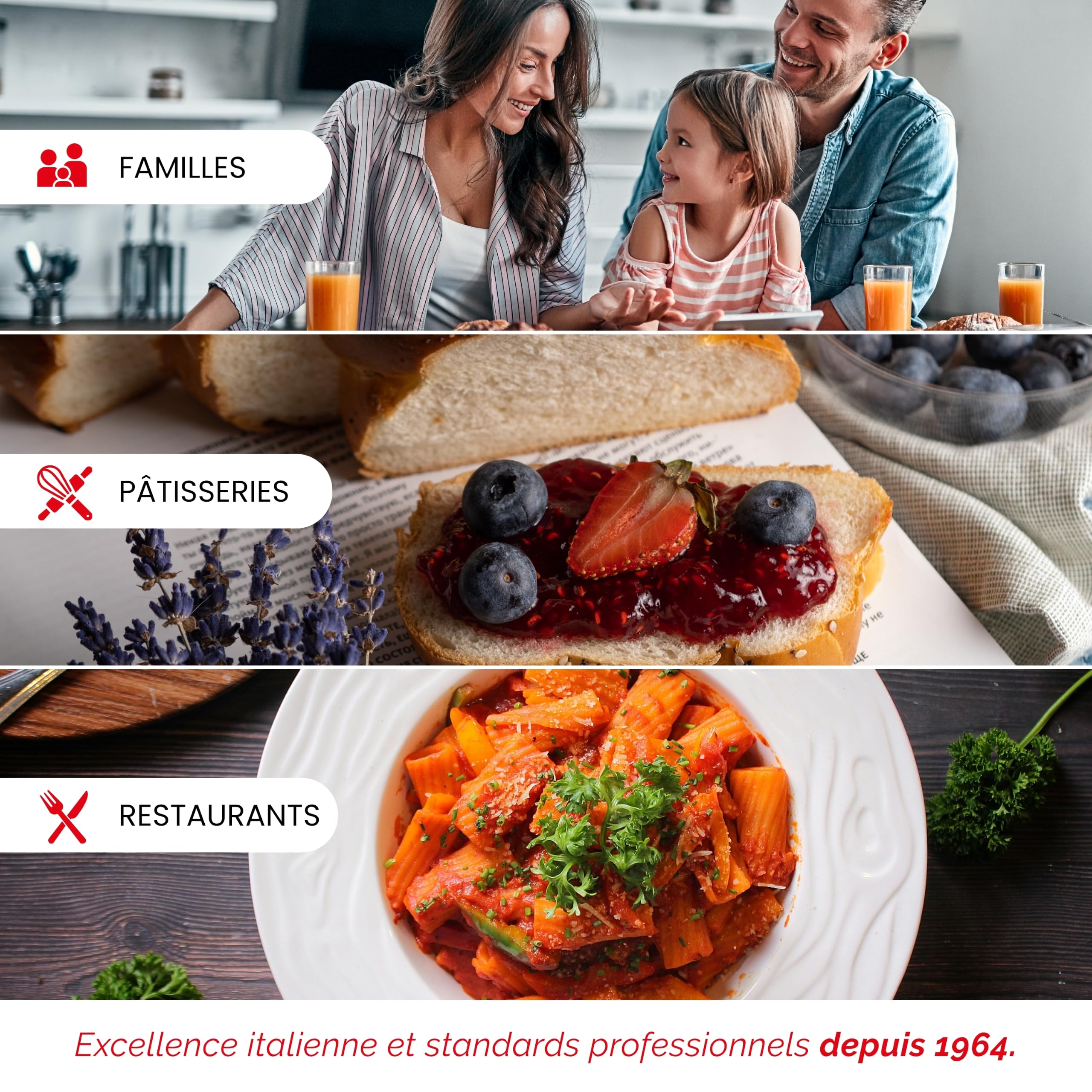 Reber Presse-Tomates Électrique N.5 500 W pour Coulis et Conserves | Pour confitures et jus de fruits, jusqu'à 340 kg/h, accessoires en acier inoxydable, moteur à induction en continu