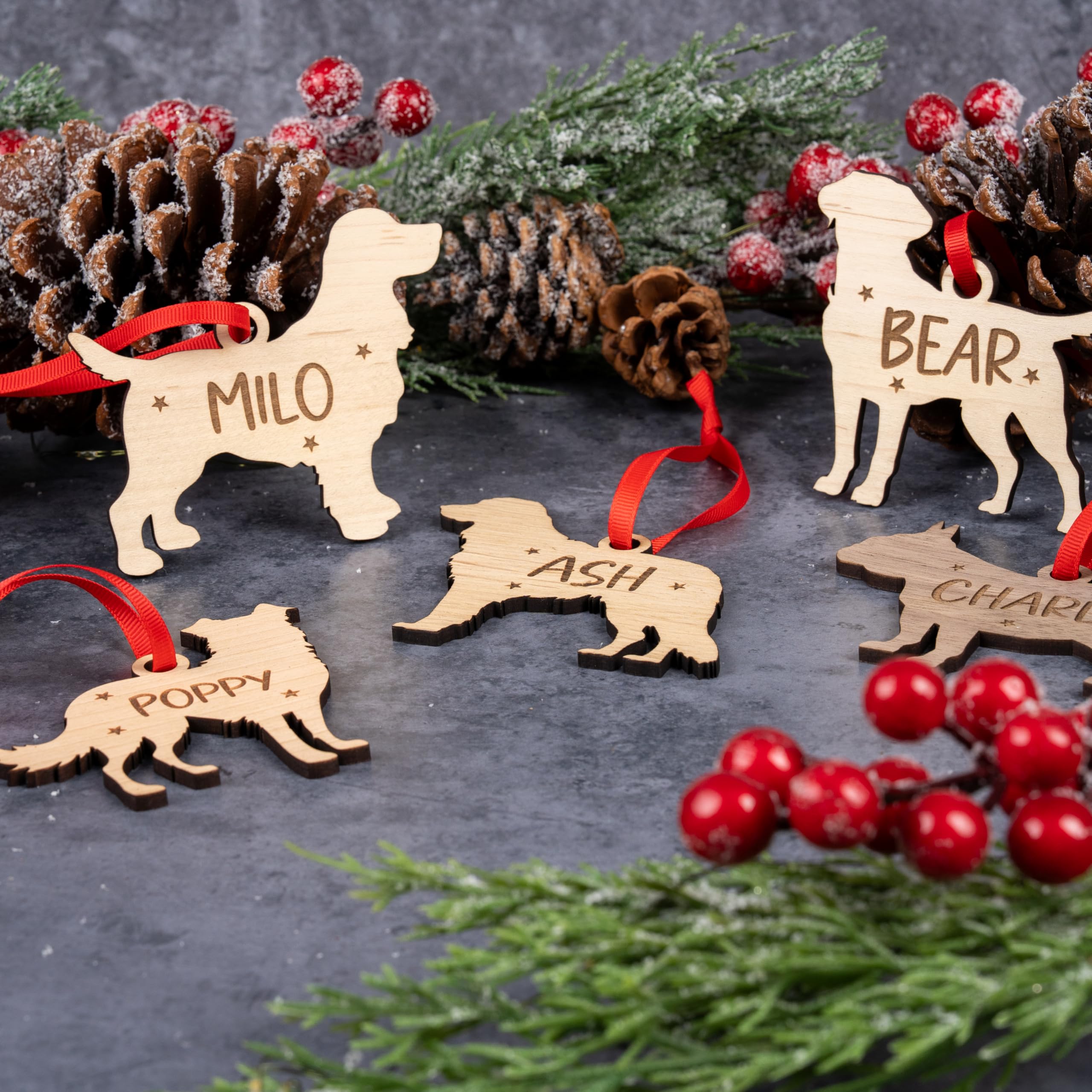 View 2
