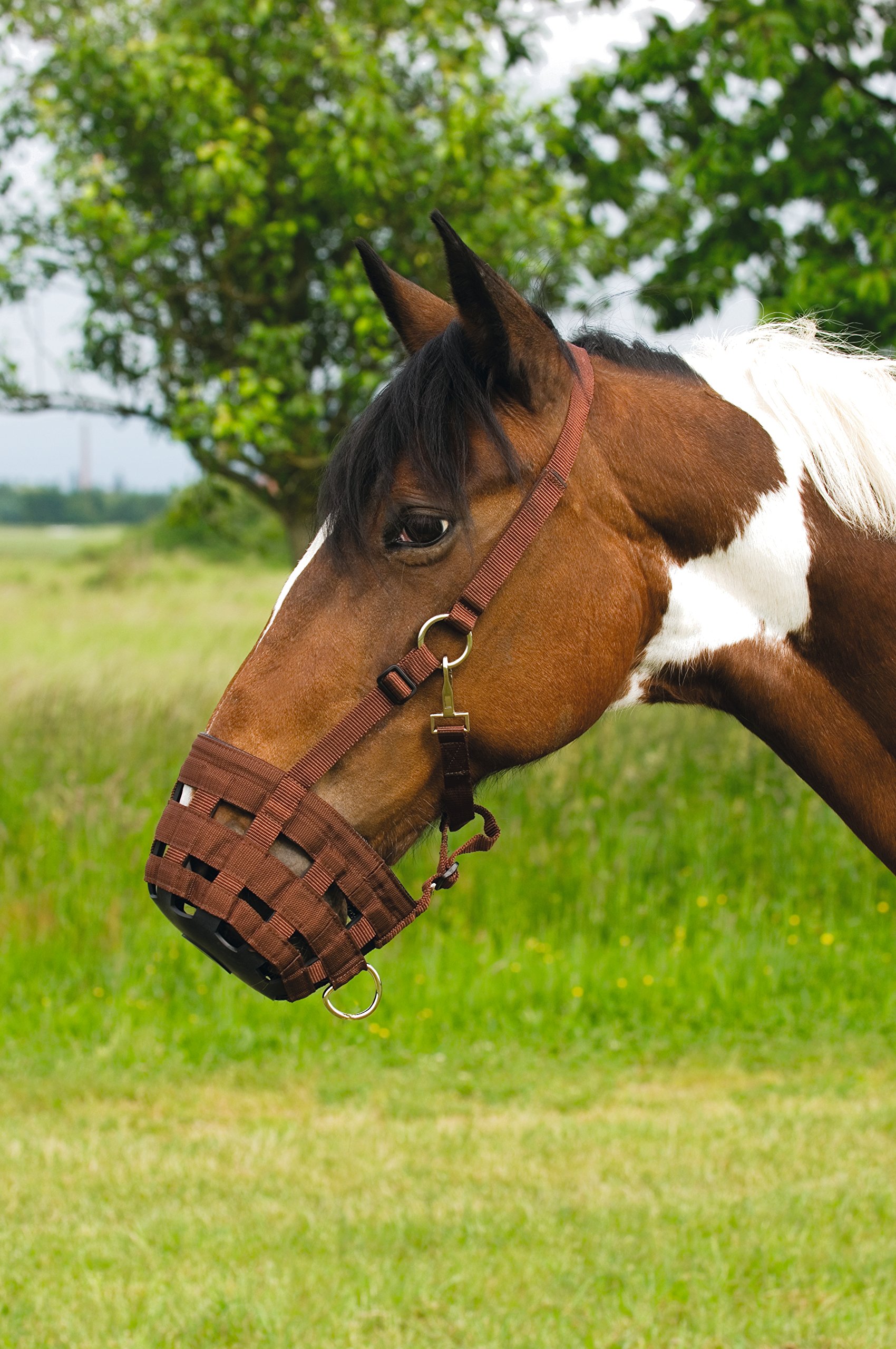 Muselière nylon - chocolat - poney