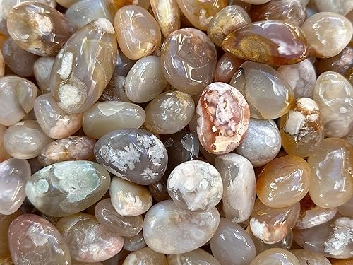 Miniatura 9 de AL POR MAYOR - Piedras pulidas de ágata de flores, piedras preciosas de ágata pulida, cristales curativos de ágata floral (ágata floral, 1 libra),