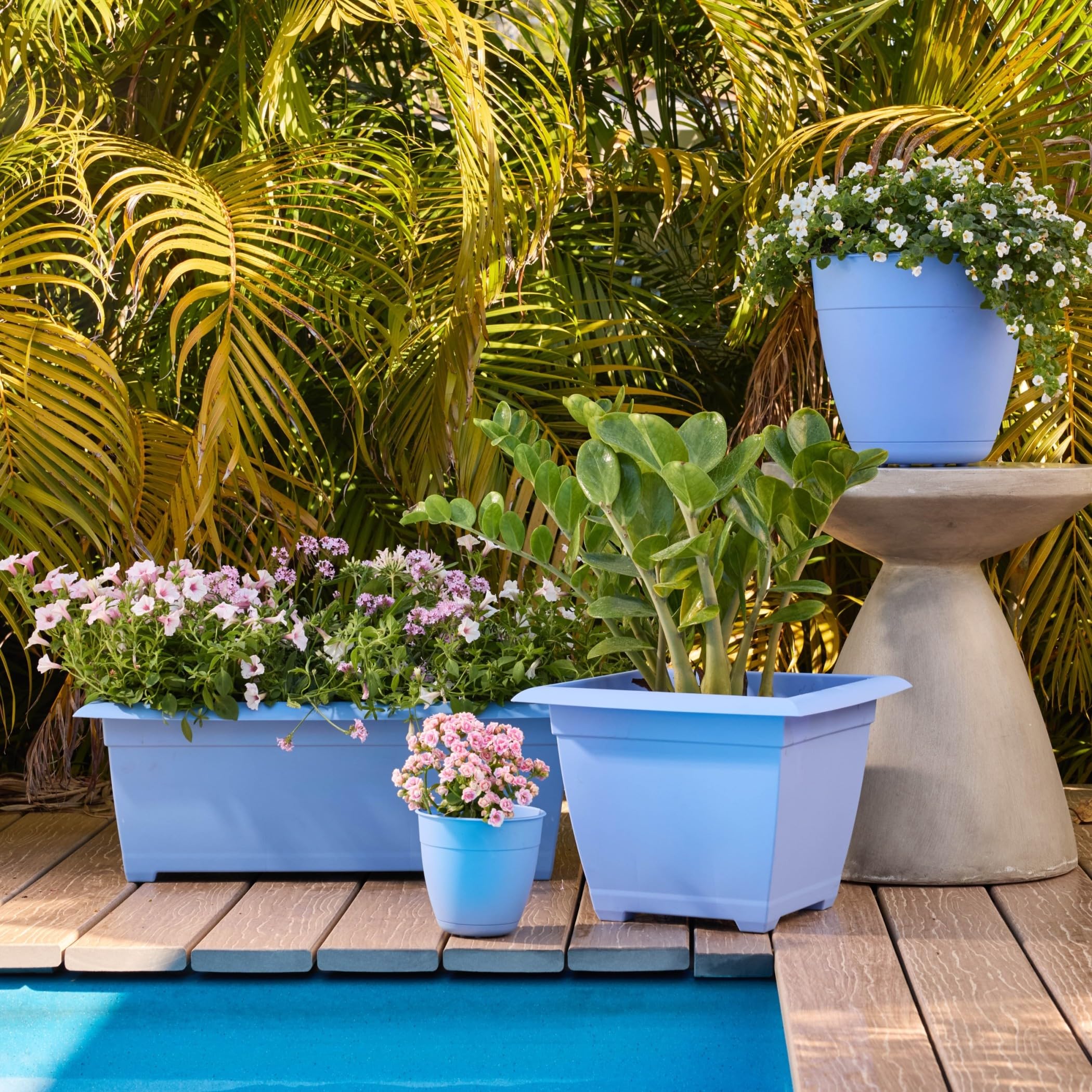 Amazon.com : Bloem Dayton Planter with Saucer: 12