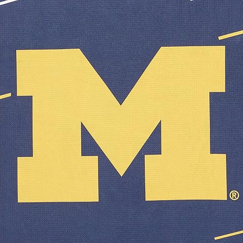 Miniatura 5 de Northwest NCAA Unisex-Adult Beach Towel & Mesh Bag Set