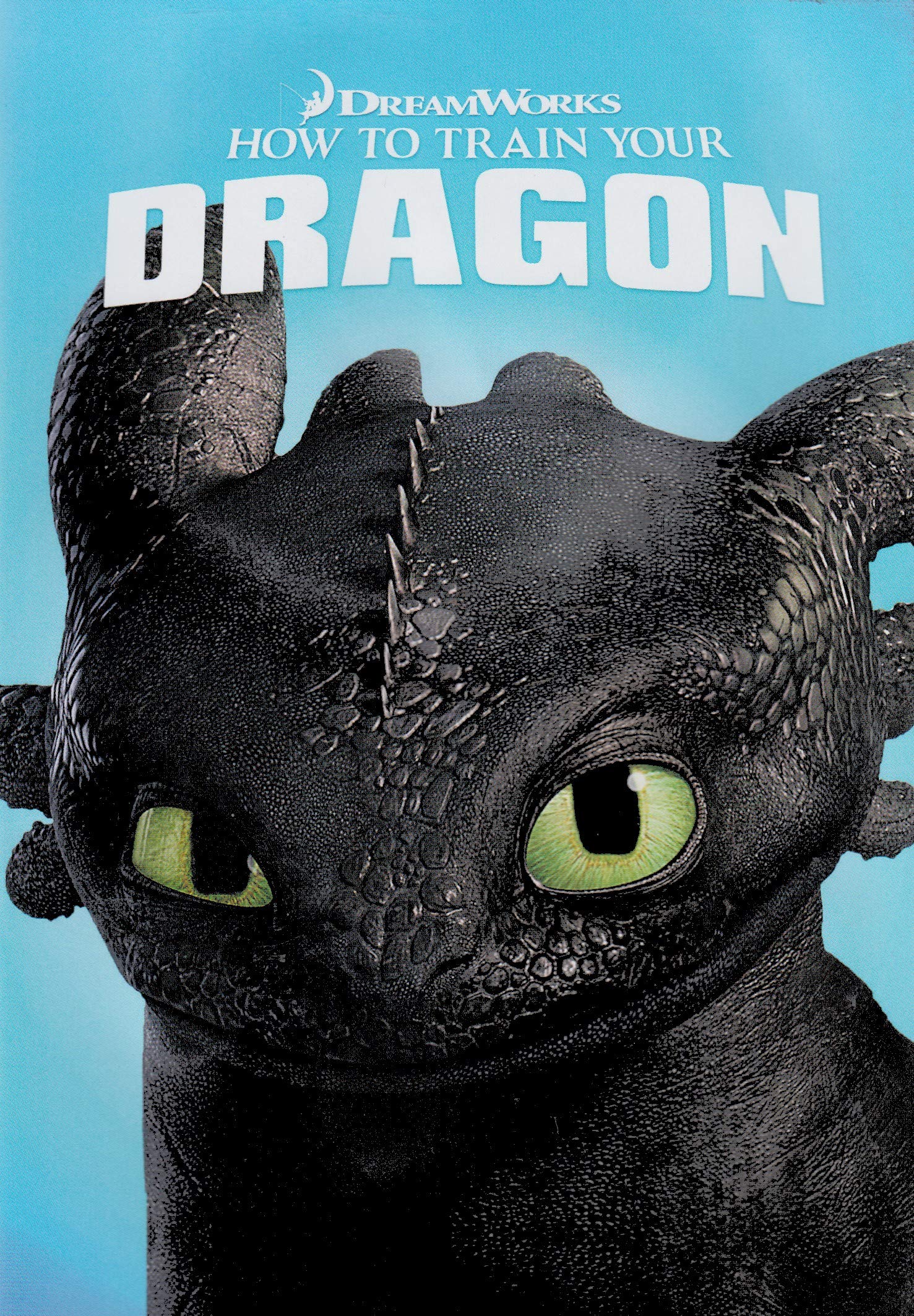 How To Train Your Dragon Amazon Sg Movies Tv