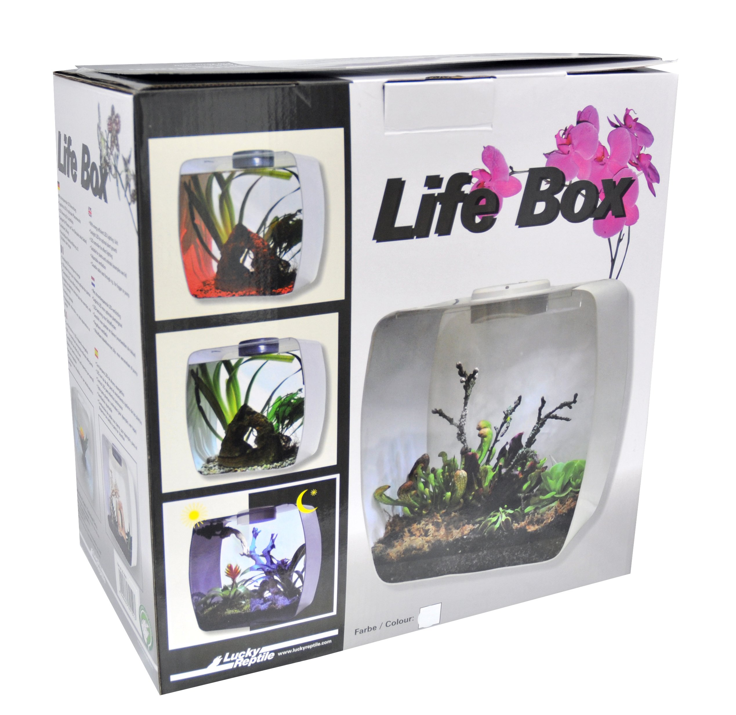 Lucky Reptile Life Box Designer Terrarium
