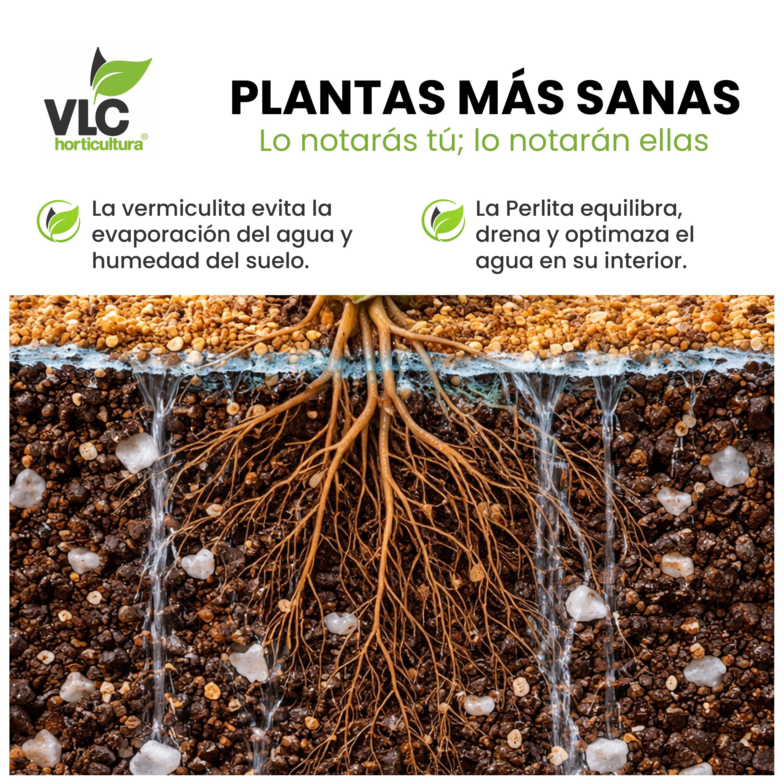 Pack Perlita + Vermiculita VLC Horticultura | Mejora Aireación y Retención de Humedad del Sustrato | Ideal para Semilleros, Macetas y Trasplantes | Minerales Naturales para Jardinería (100+100L)