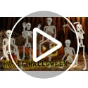 5-Pack-Halloween-Skeleton-Decoration16-Full-Body-Posable-Skeleton-Realistic-Human-Bones-with-Posable-Joints-for-Halloween-Pose-Prop-Decor-Yard-Lawn-Garden-Patio-Outdoor-Haunted-House-Decorations