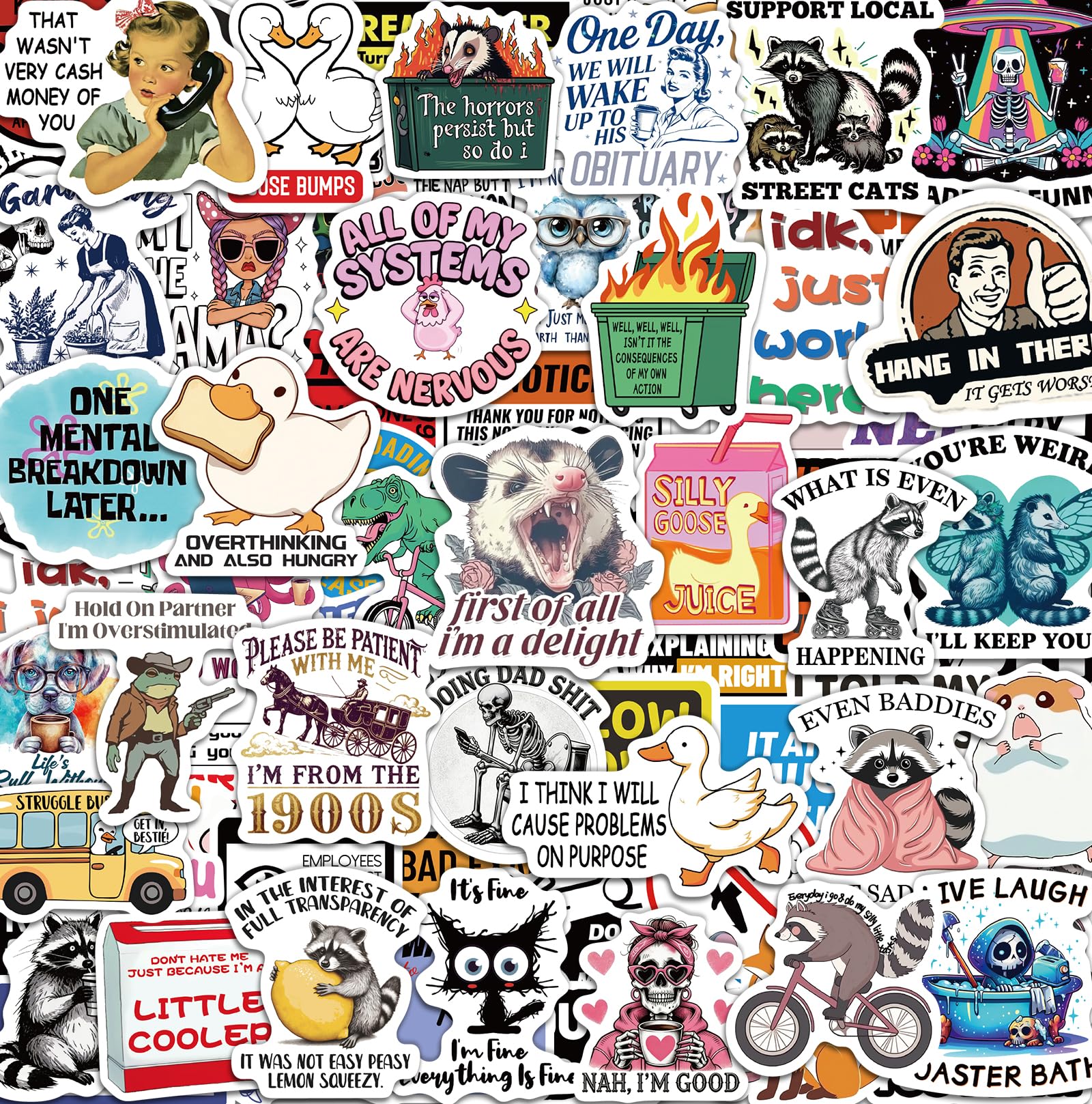 Photo 1 of 300 Pcs Funny Stickers for Adults, Sticker Pack for Water Bottle Laptop