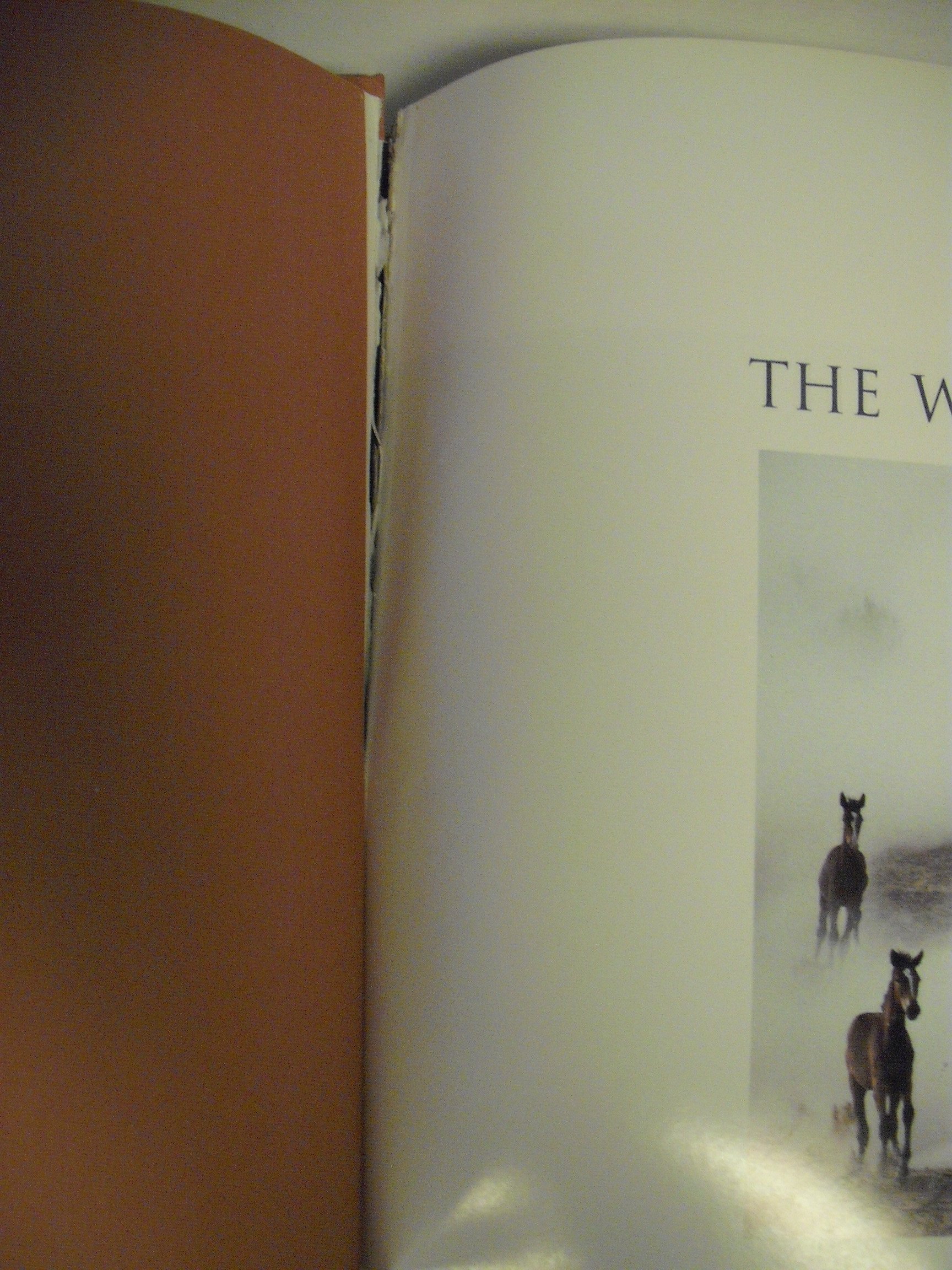 Western Horse: A Photographic Anthology