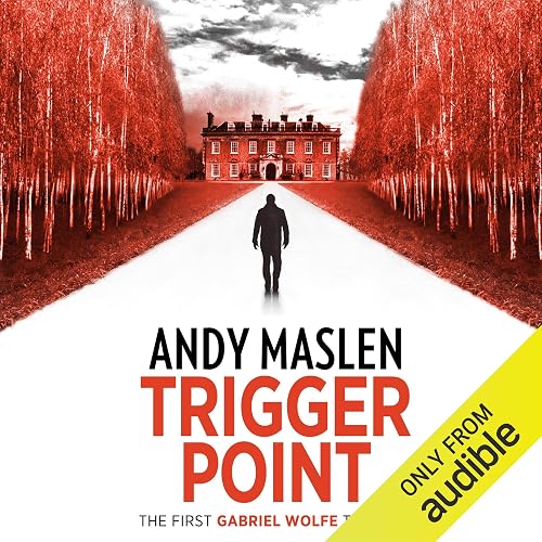 Trigger Point: The Gabriel Wolfe Thrillers, Book 1