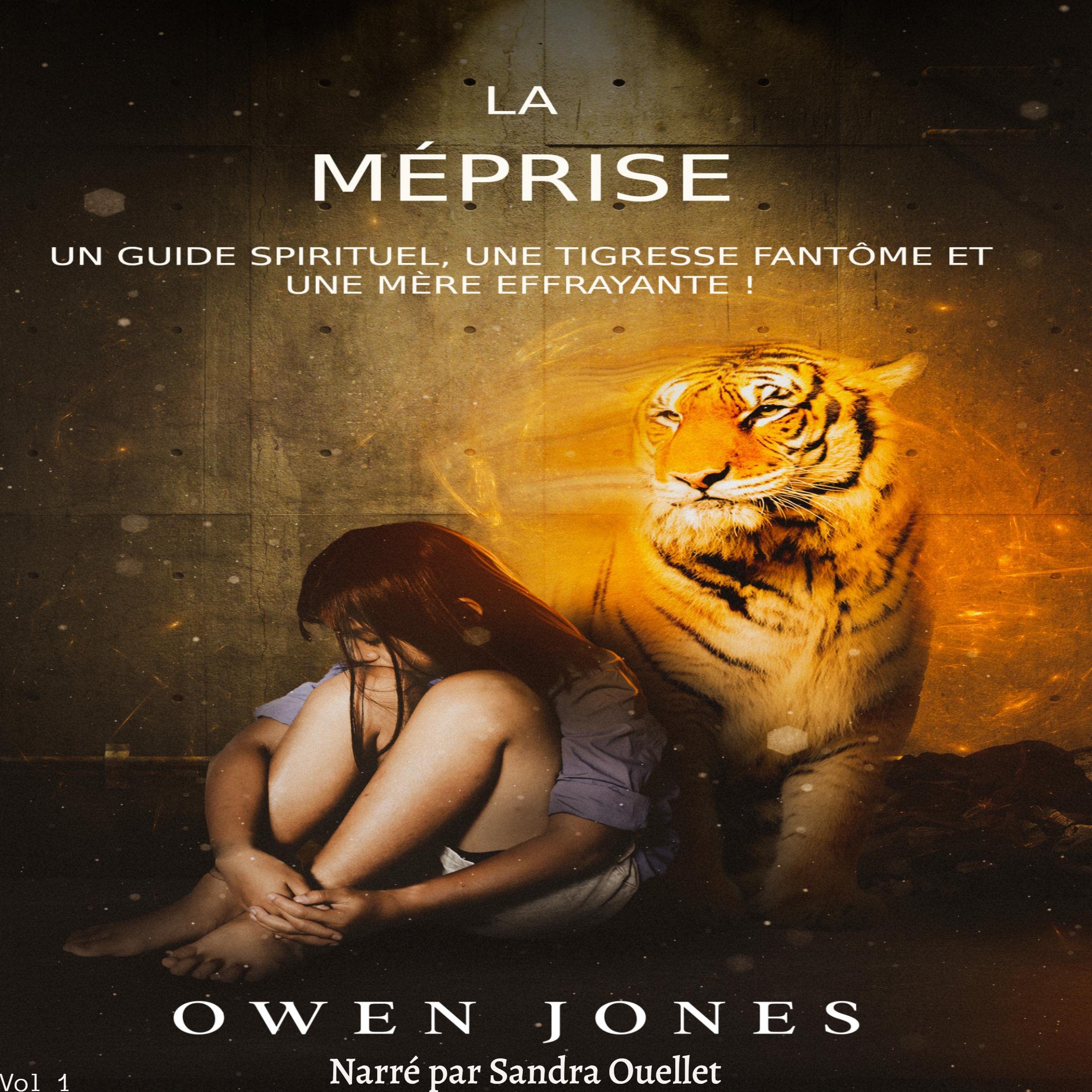 Cover art for La méprise [The Misconception]
