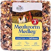 Manna Pro Mealworm Medley Cake - High-Protein Chicken Treats for Chickens, Turkeys & Backyard Birds, 19.5 oz 3-Pack