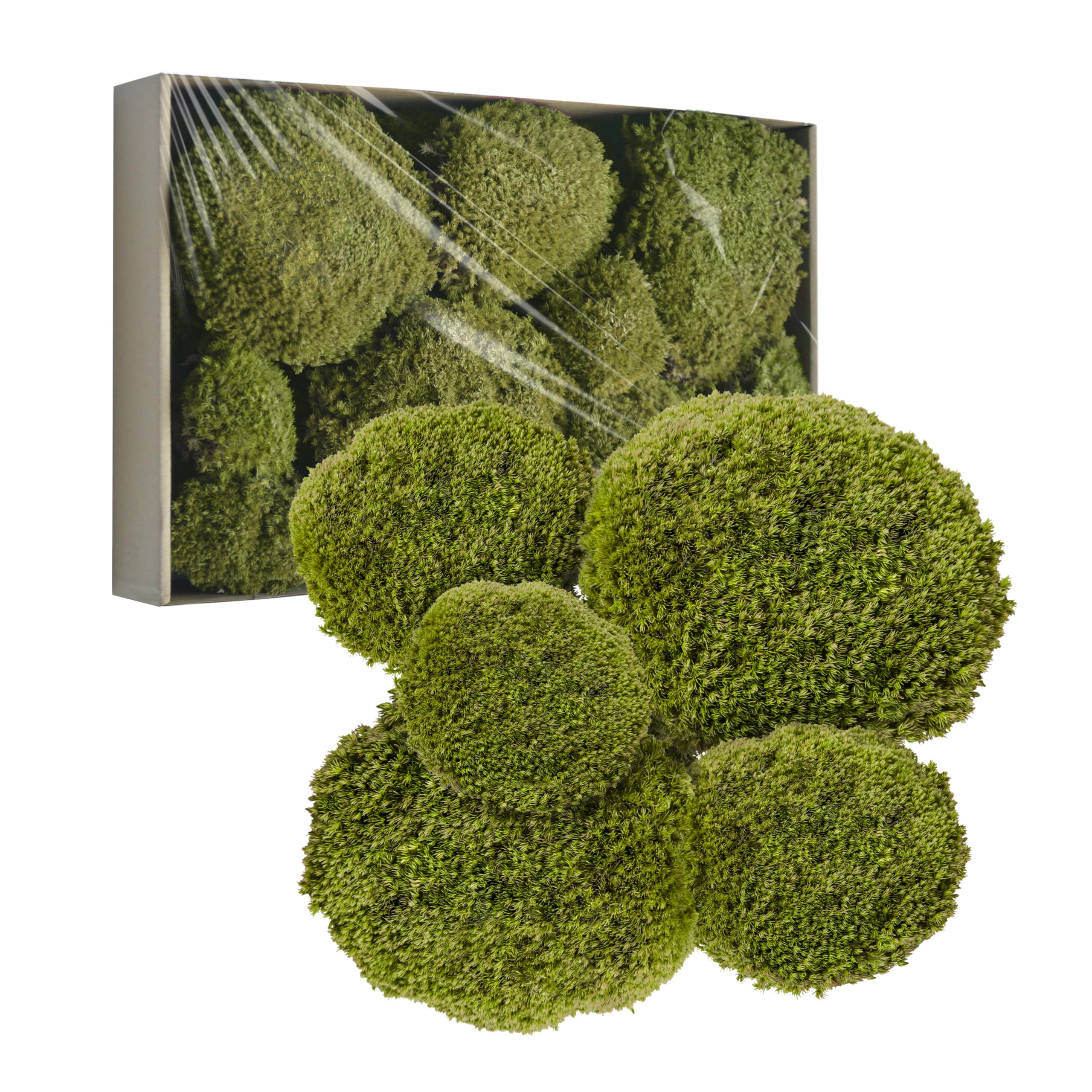 TurelinnG Preserved Moss Decor - Real Forest Moss, Moss for Crafts, Flexible for DIY Crafts, Home, Wall, Terrarium, Art Projects(Yellow Green 2 sq.ft)