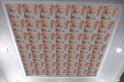 Miniatura 5 de Dundee Deco Techo corrugado oxidado de hojalata vieja, panel de techo decorativo 3D de PVC, 2 pies x 2 pies (23.6 in x 23.6 in), 4 pies cuadrados