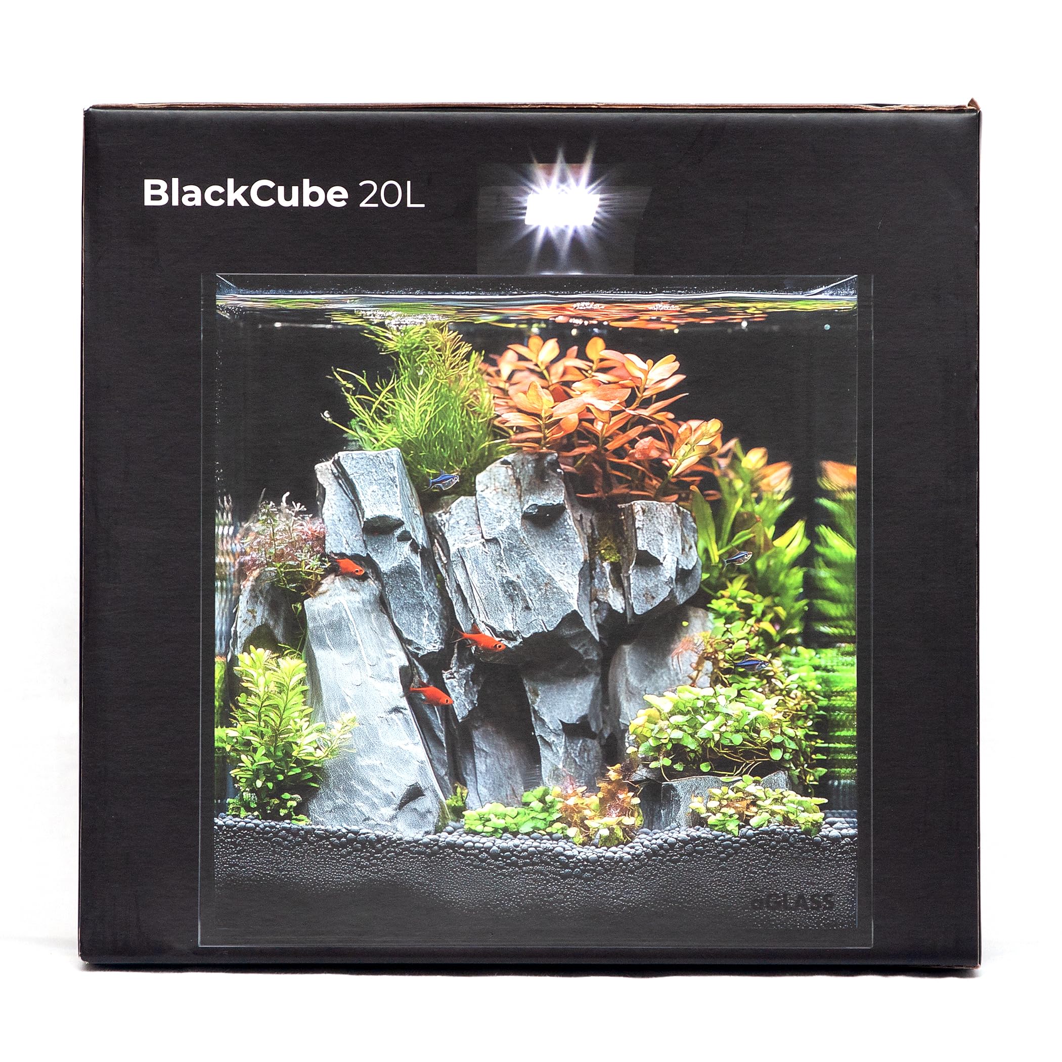 Nano-Aquarium Black Cube 20 L mit LED-Beleuchtung, Abdeckscheibe und Unterlegmatte für Garnelen, Krebse und kleine Fische