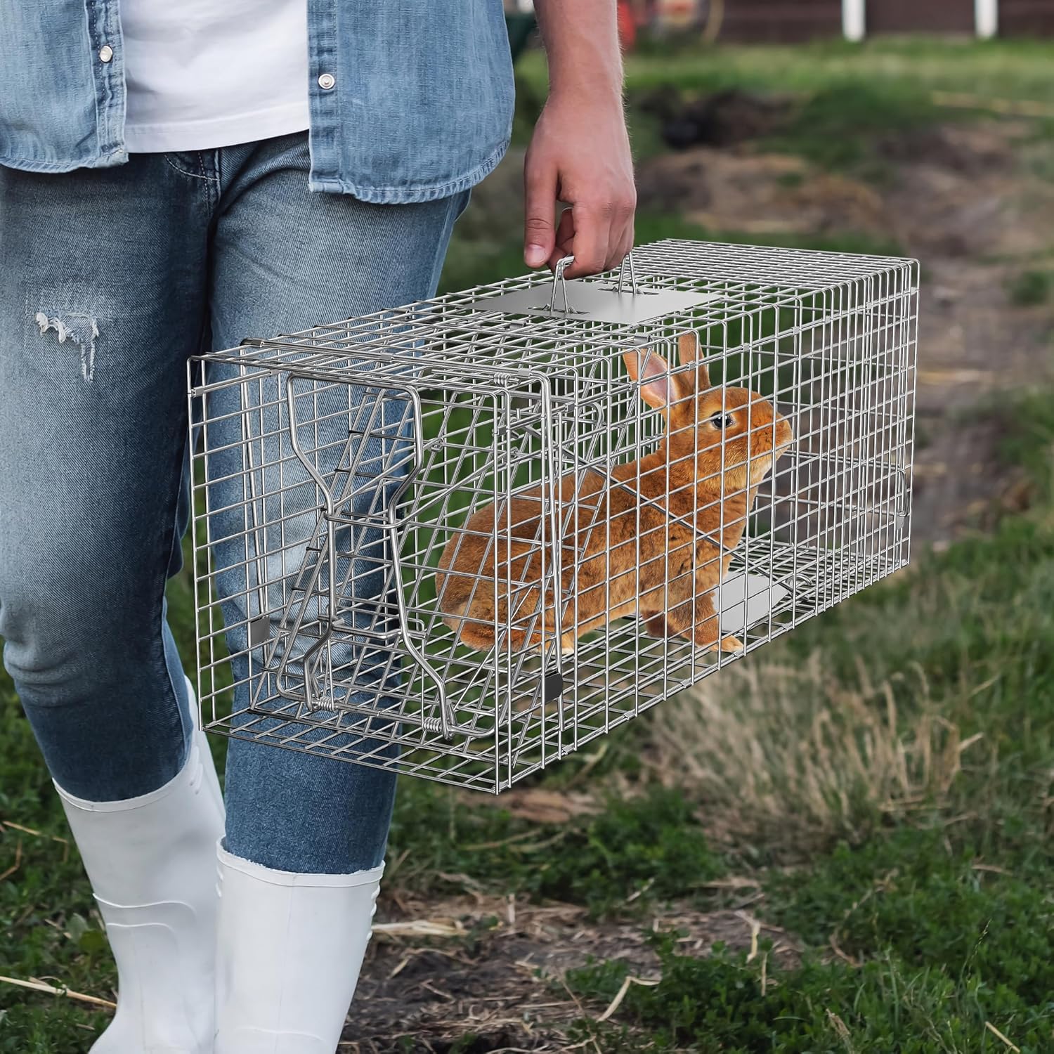 Smartxchoices 32" X 12" X 12.5" Large Live Animal Trap Cage Humane One-Door Solid Steel Catch and Release Rodent Cage for Raccoon, Rabbits, Stray Cats, Squirrel, Groundhogs, Opossums, Armadillos
