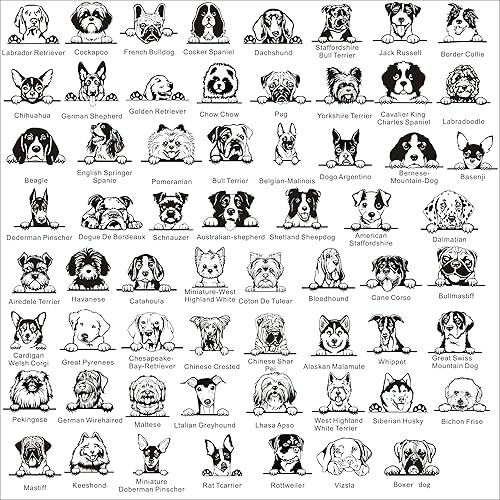 Miniatura 2 de Etiquetas para perro grabadas para mascotas, etiqueta de perro personalizada, etiquetas de identificación de perro de acero inoxidable