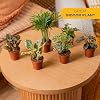 Product Photo 5