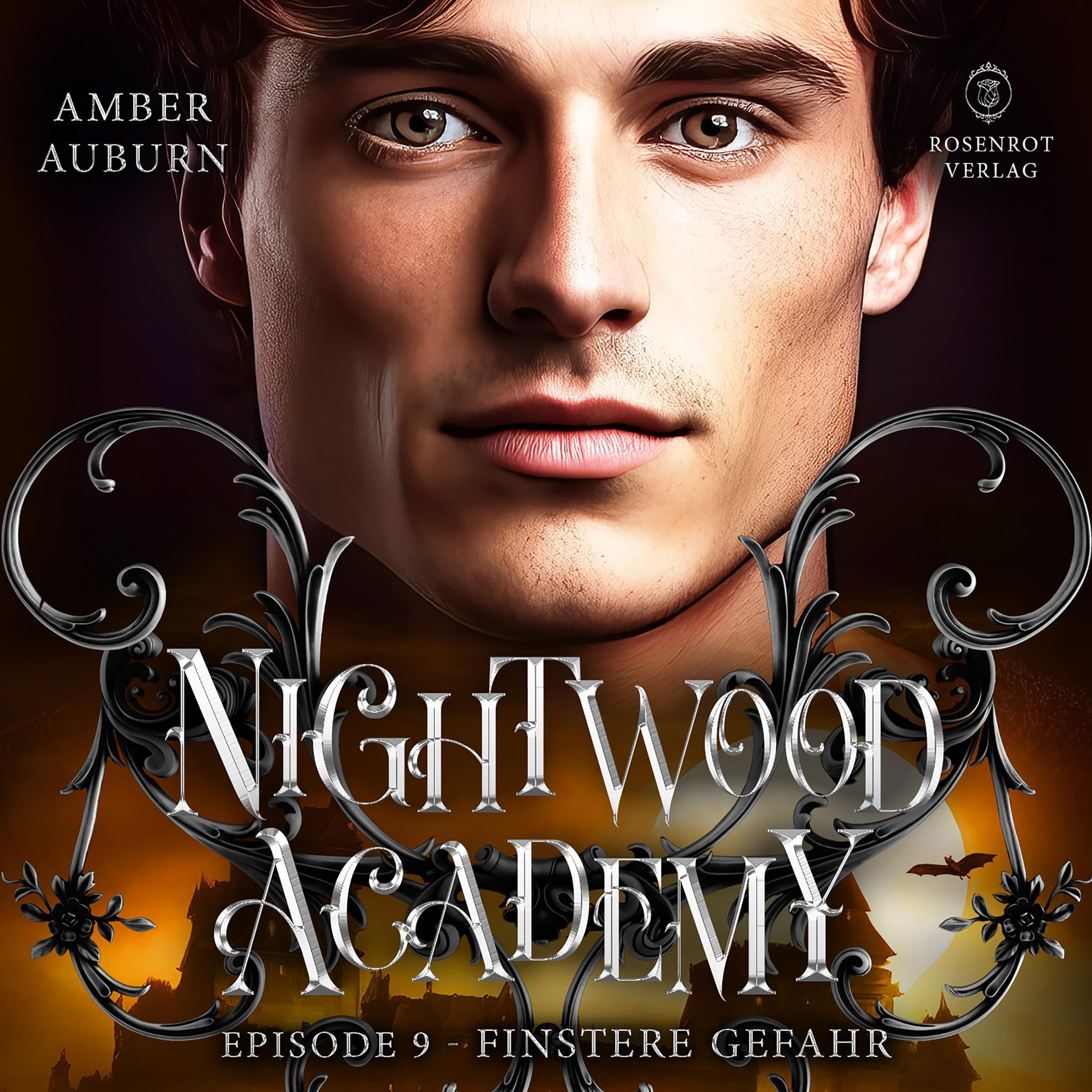 Cover art for Finstere Gefahr