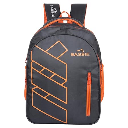 Sassie 41 LTR Grey Bagpack/Laptop Backpack/School Bag