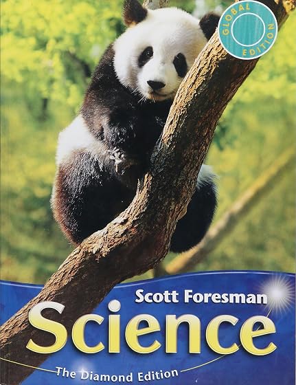 2011 International Edition Student Edition Grade 4