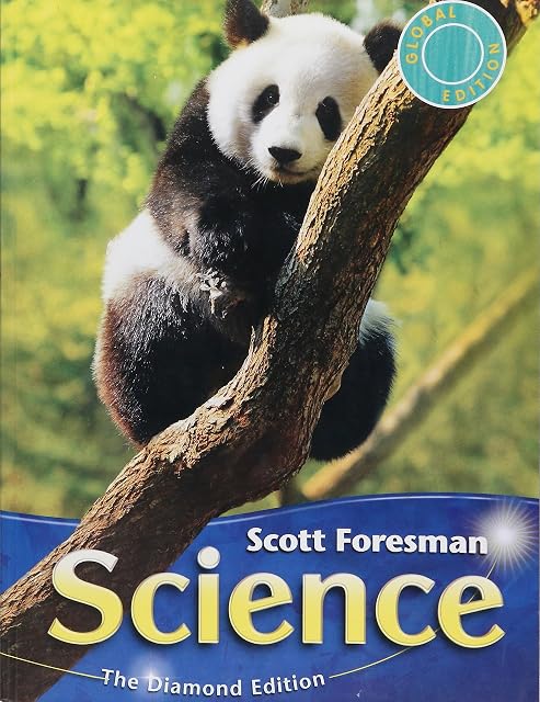 Portada de 2011 International Edition Student Edition Grade 4