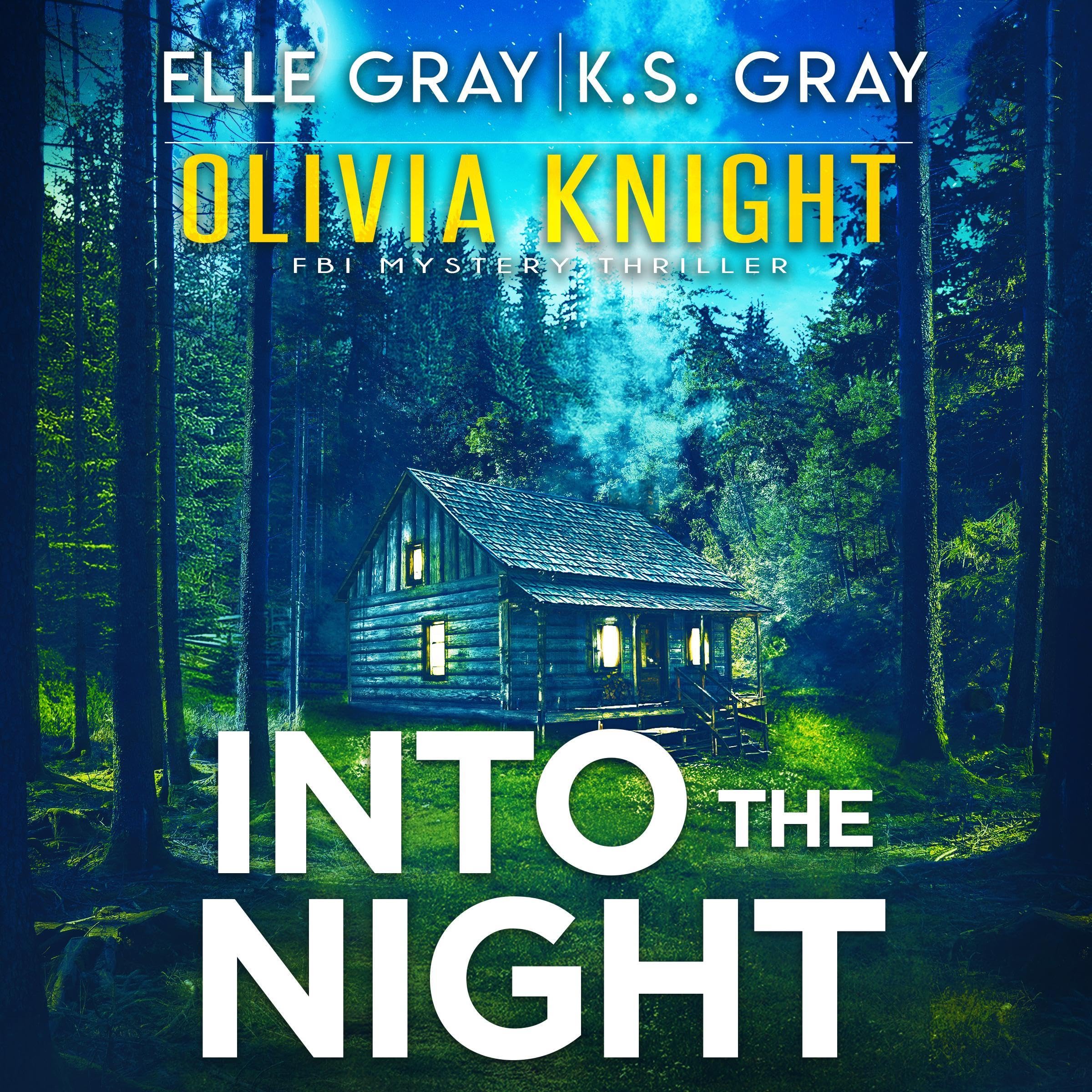 Cover art for Into the Night