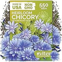 Vista 23 de KVITER 700 semillas de bálsamo de limón para plantar (Melissa Officinalis) - Semillas de hierbas medicinales orgánicas y tradicionales - Cultivar