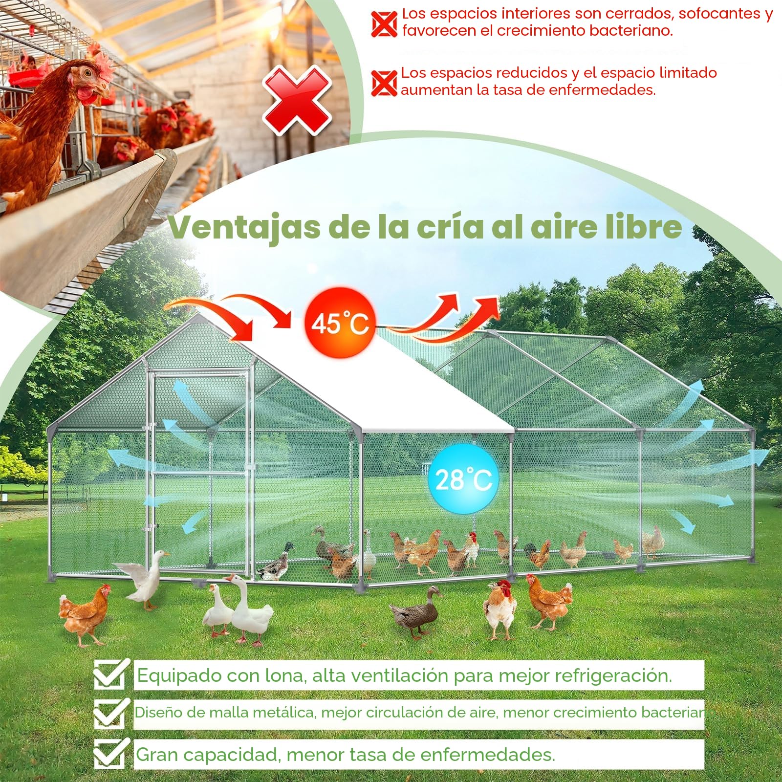 LZQ Gallinero exterior con tejado, estructura de acero galvanizado con polietileno (3 x 6 x 2 m)