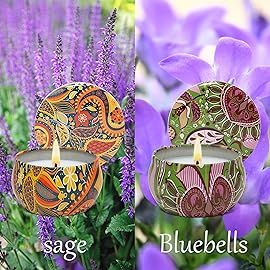 2 Pack Scented Candles, 2.5 oz Aromatherapy Candles for Home Scented, Natural Soy Candles with Floral Scents, Portable Small Jar Candle Set for Travel, Spa, Yoga, Home Decor Tin Candle Pack