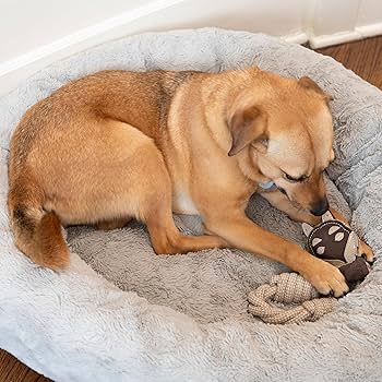 Pet Supplies : SPOT Dura-Fused Leather Animal Rings - Rope