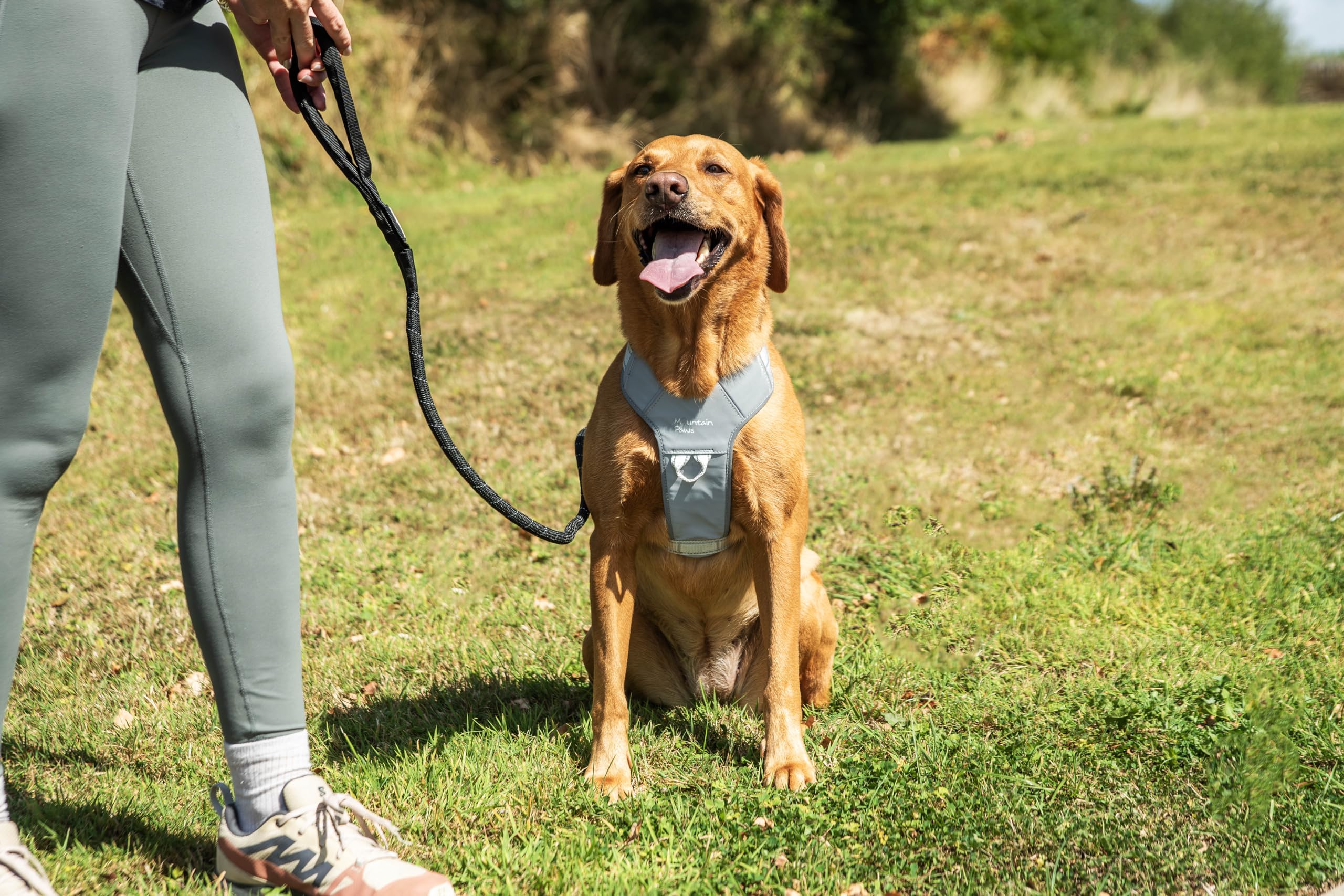 Mountain Paws Arnés para Perro, para Adaptarse a tamaños de Pecho de 45 a 108 cm, Acolchado de Espuma con Ribetes Reflectantes, Reflectante, Extra Grande