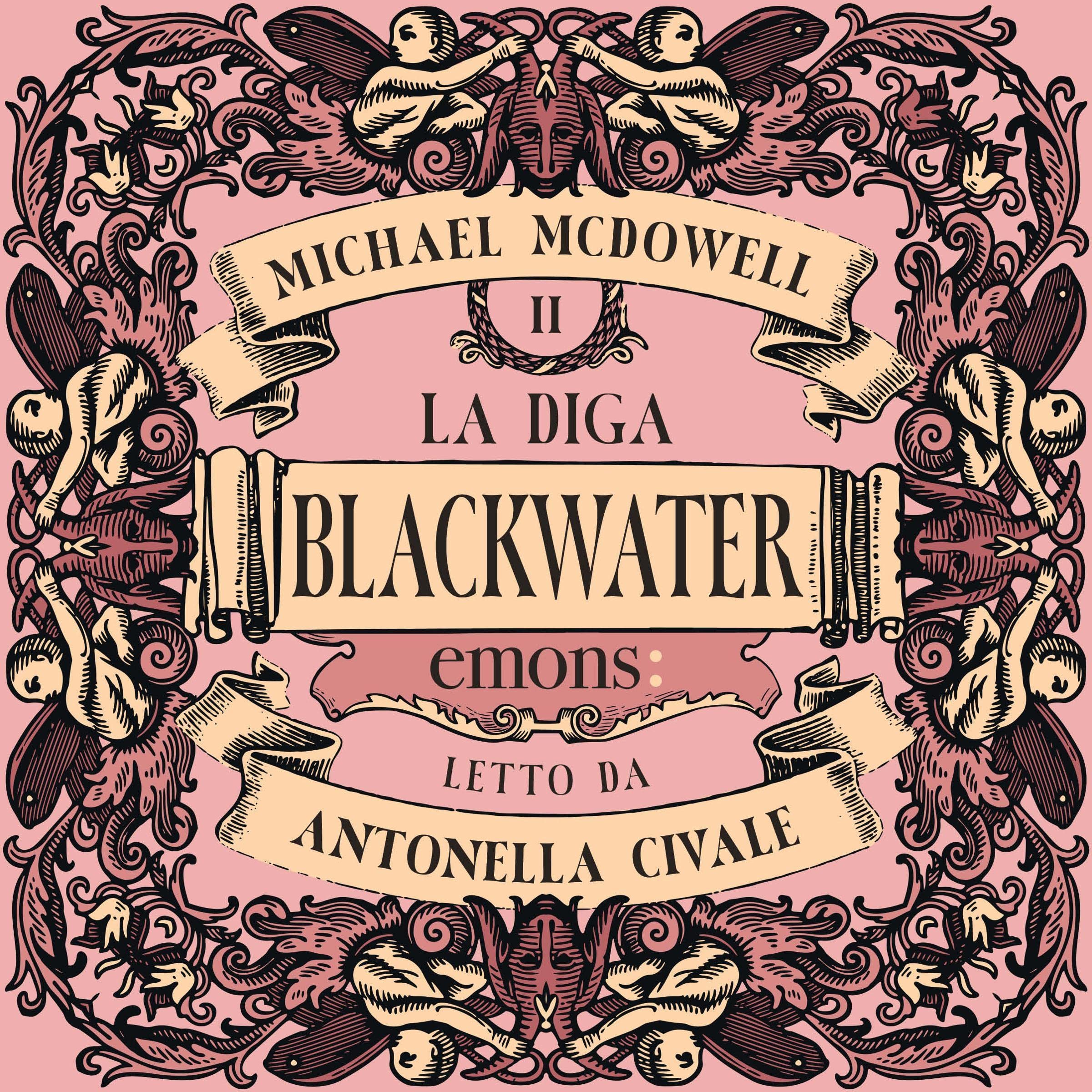 Cover art for La diga