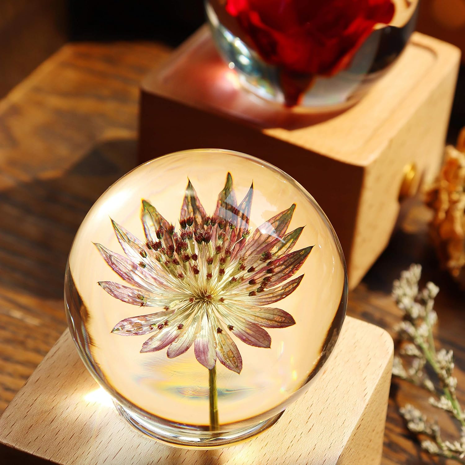 TOP оƒƒERS Vizliter Bluetooth Speakers Crystal Ball LED Lighting Premium Preserved Fresh Flower with Wood Base Never Withered Eternal Night Light (Great Masterwort Roma)