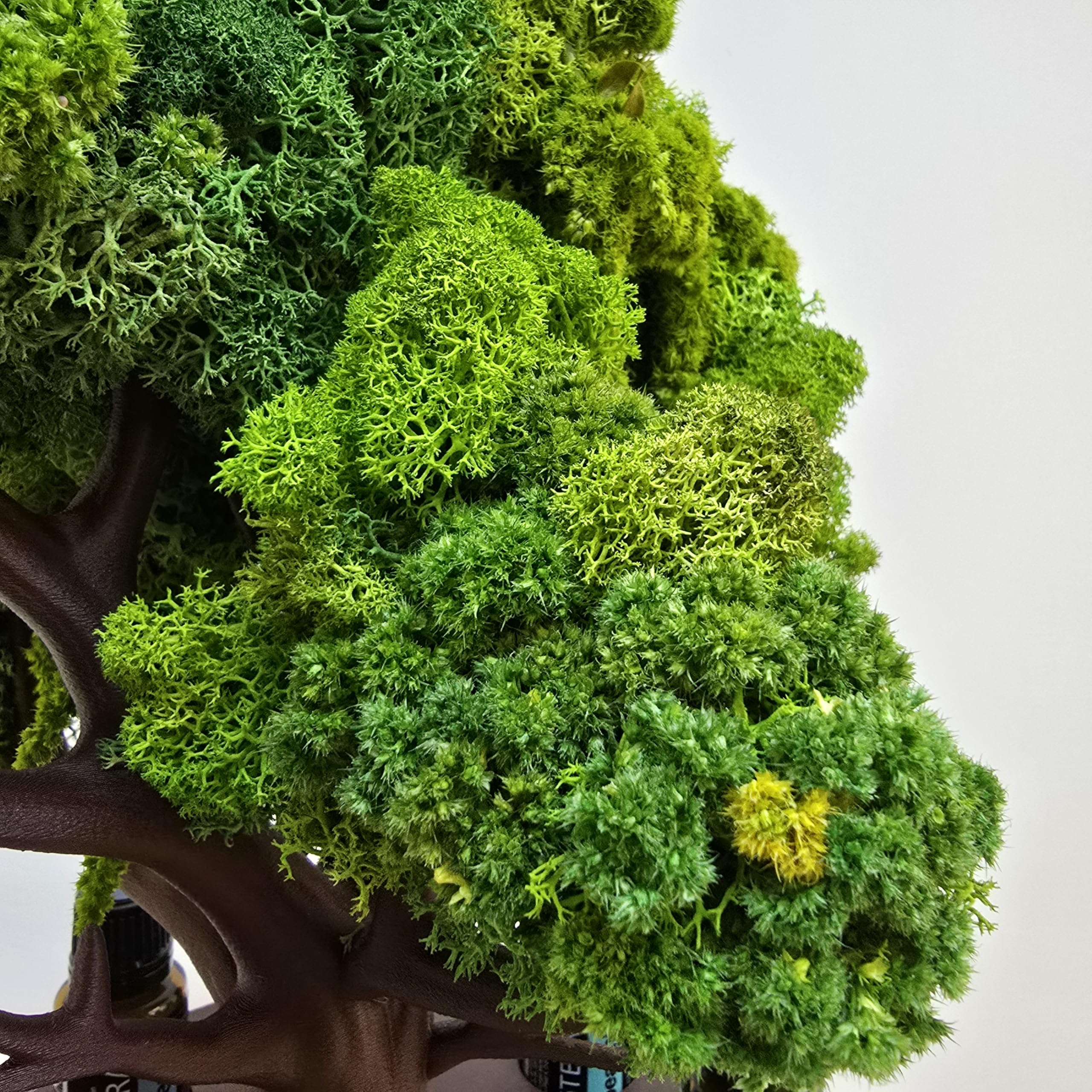 Ölständer Baum-Design | 8er Organizer für 15 ml Fläschchen Ø22 mm (für doTERRA & andere Marken) | Premium skandinavisches Rentiermoos | Handgefertigt