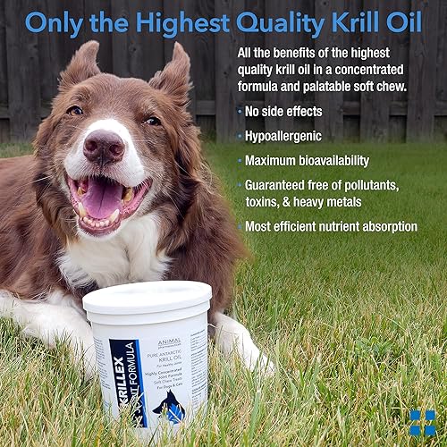 Miniatura 5 de Animal Pharmaceuticals Krillex - Fórmula para articulaciones y aceite de krill Omega 3 para perros y gatos, glucosamina para perros, condroitina,