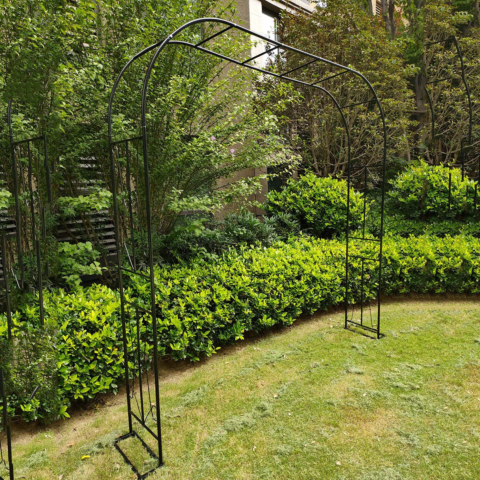 Arche de jardin en métal noir pergola autoportante pour plantes grimpantes