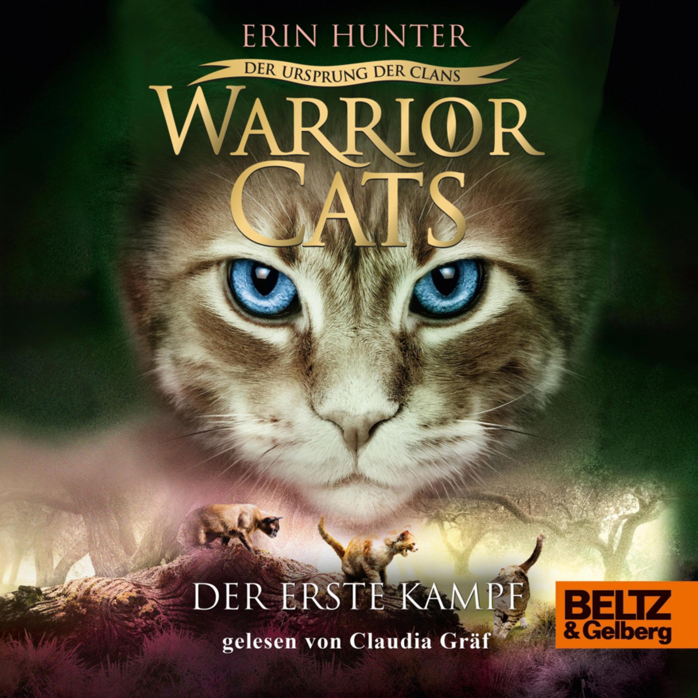 Cover art for Der erste Kampf