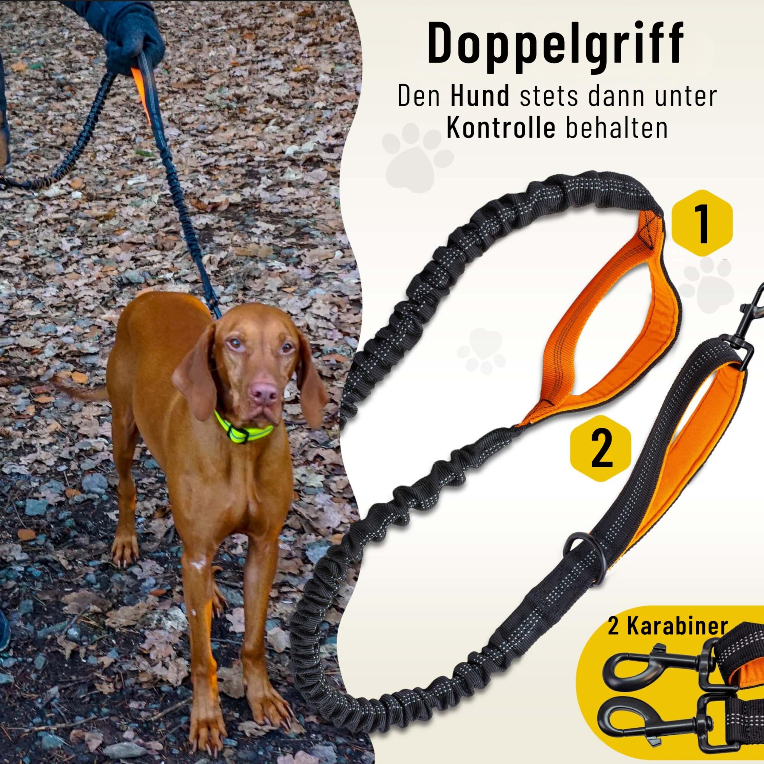 Hundefreund Joggingleine für große Hunde ab 15 kg | Elastische Freihandleine mit leichtem Bauchgurt | Abnehmbare Hundeleine mit 2 weichen Schlaufen | Orange Laufleine (120 cm, dehnbar bis 170 cm)