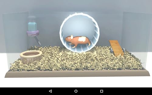 Racionalização Hamster