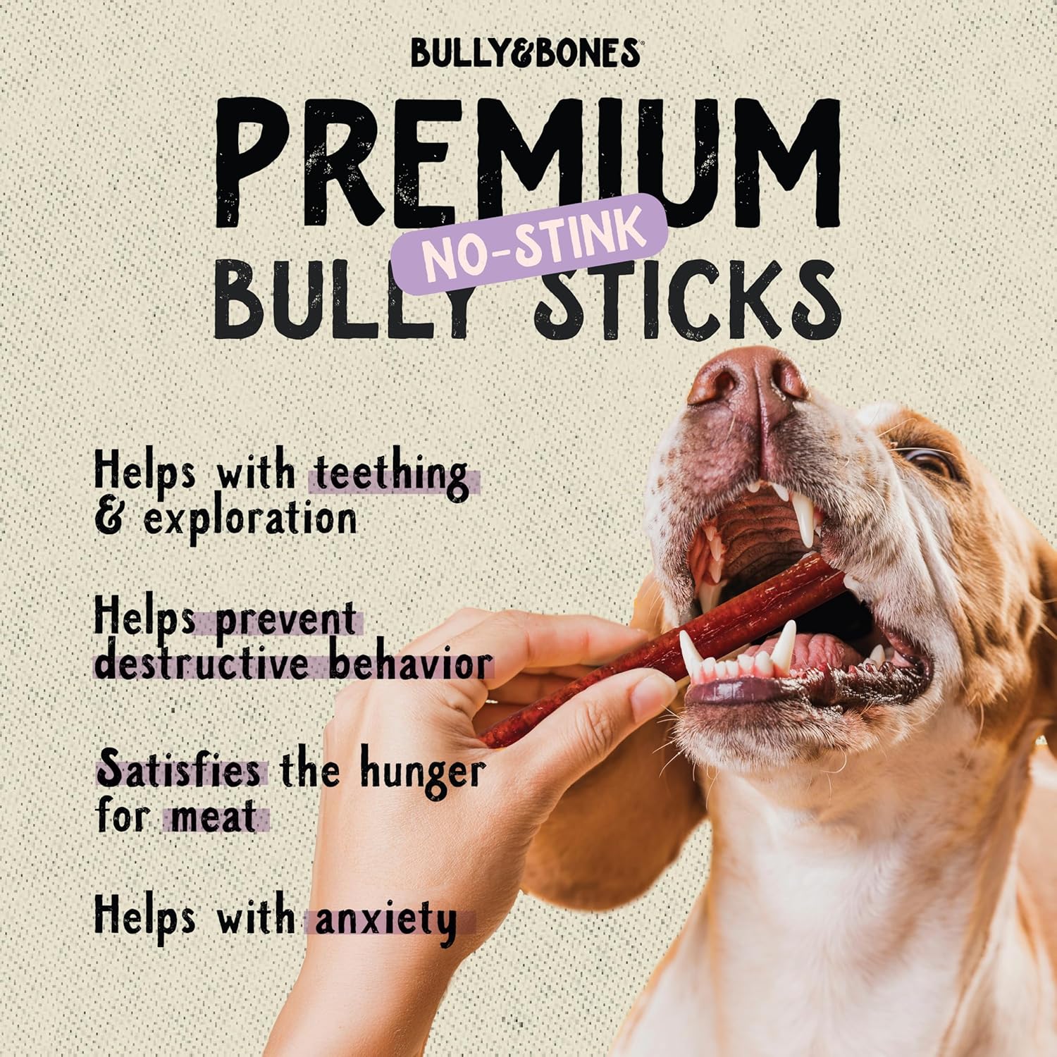 Bully & Bones 6 Inch Odor Free Straight Bully Sticks (15 Pack) for Dogs That Like to Chew. Healthy Single-Ingredient Beef chew Treats Crafted to Stimulate Your Dog’s Taste Buds. 6" Bully Sticks. - Image 6