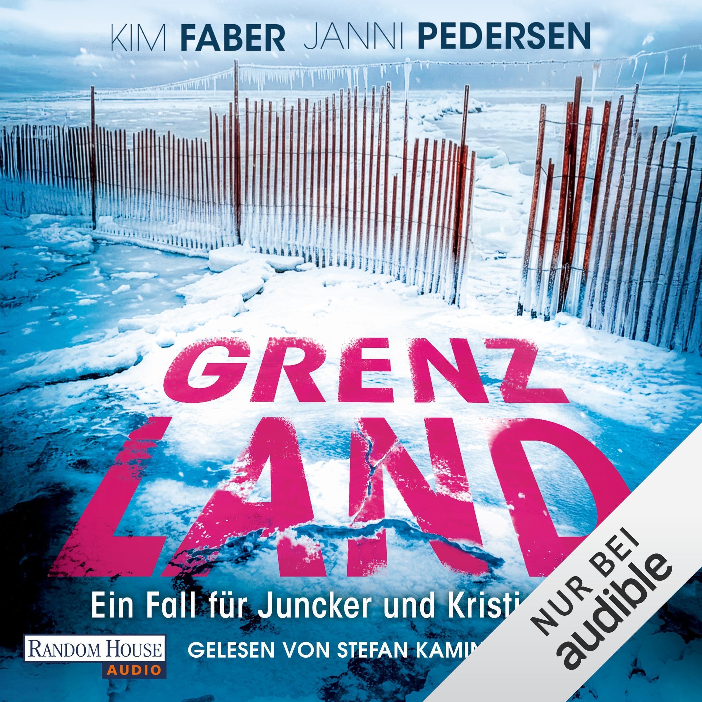 Cover art for Grenzland - Ein Fall für Juncker und Kristiansen