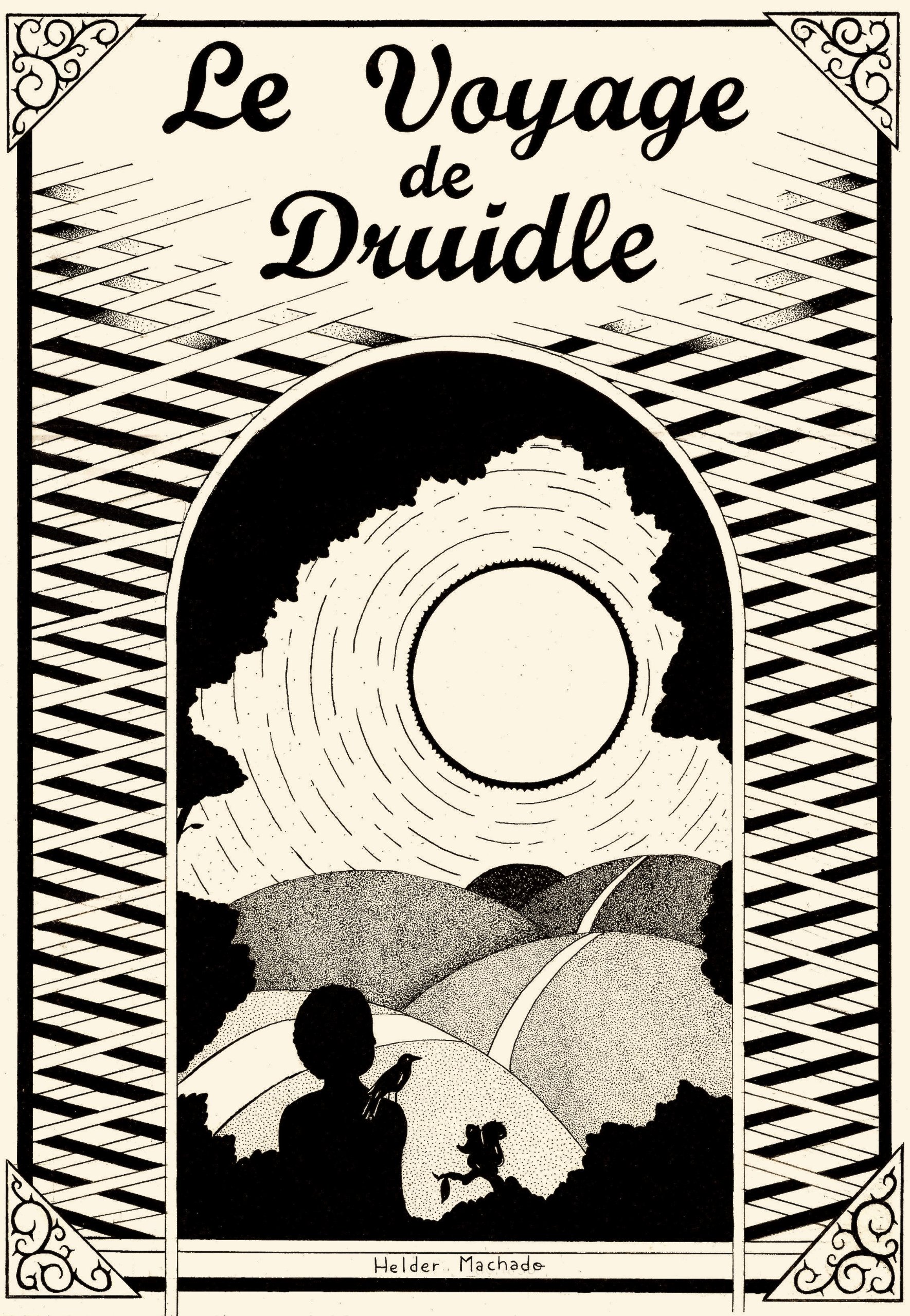 Le Voyage de Druidle (French Edition)