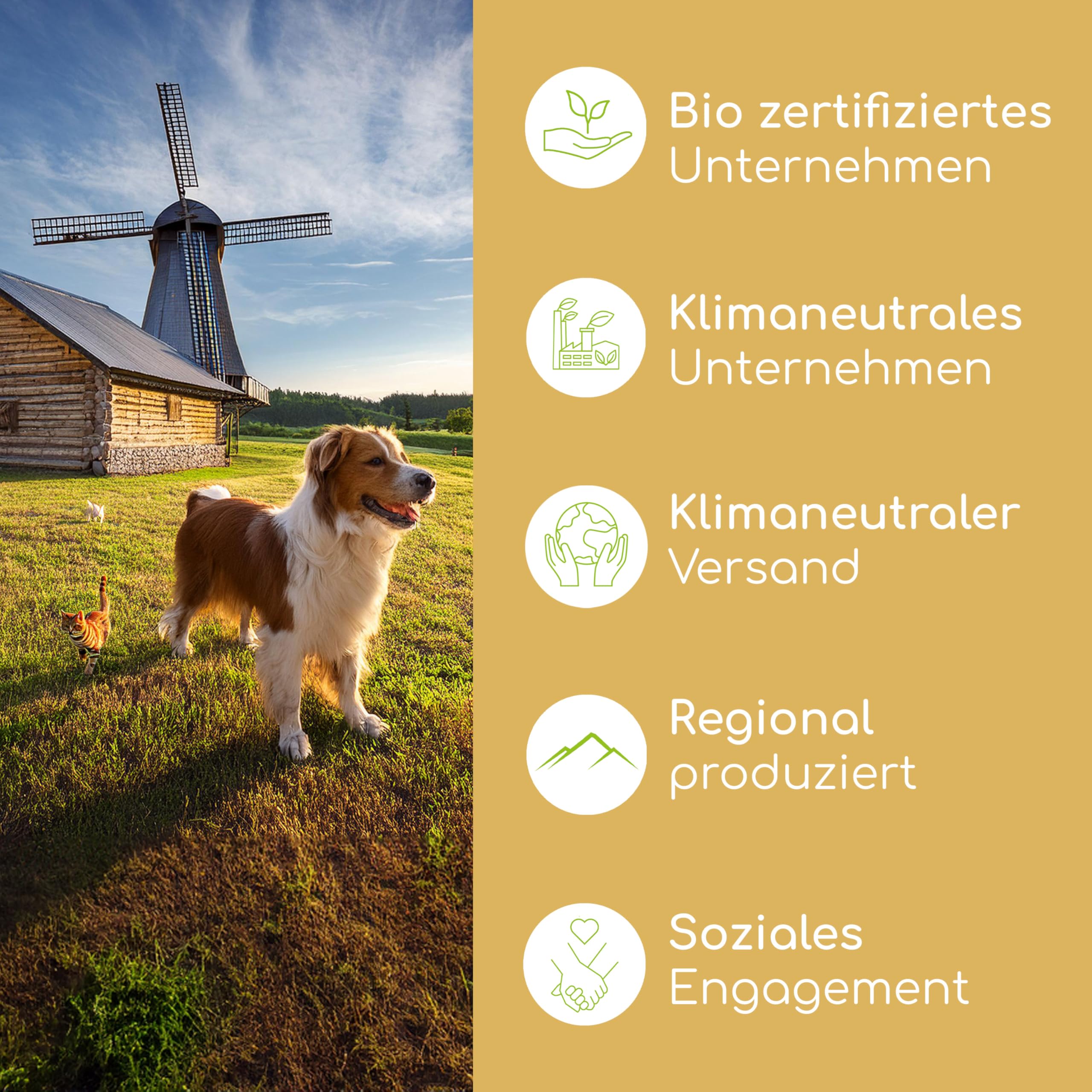 Futteröl Set für Hunde und Katzen | 3 x 500ml | Bio Barf-Öl, Lachsöl, Bio Bierhefe