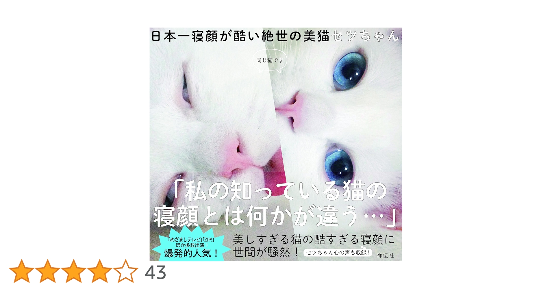 Amazon.co.jp: 日本一寝顔が酷い絶世の美猫セツちゃん : mino: 本